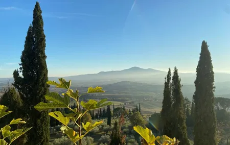 Full-day Val d'Orcia Tour with Wine and Cheese Tastings