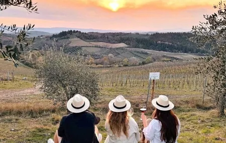 2 wineries Chianti Wine Tasting & Vineyards Walk Private Tour