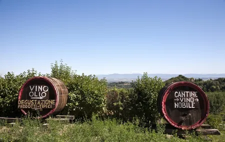 Chianti Region and San Gimignano including wine tasting and light lunch