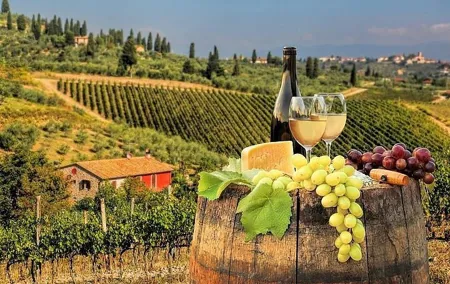 Private half day Tour to Chianti Classico from Florence