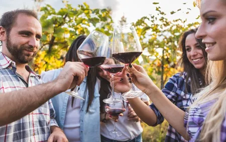 Private Full-Day Tuscan Wine Tour: 3 Wineries: Lunch & Tastingss