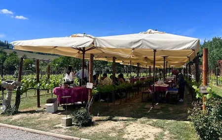 Florence: Siena and San Gimignano, Full Day Small Group Wine Tour