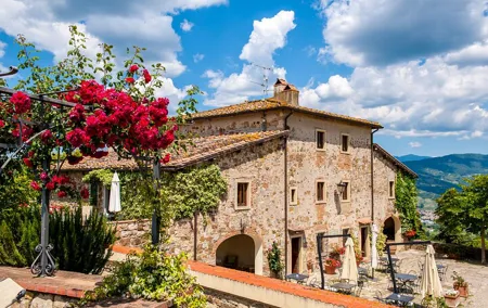 Organic Wine and Gourmet experience in Tuscany Chianti hills