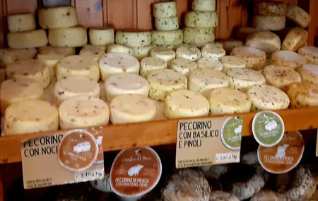 Wine and Cheese tour in Chianti: A Gourmet Experience