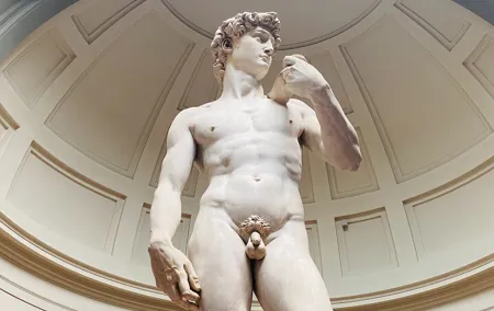 Fast Track Entry Tickets for the Accademia Gallery in Florence