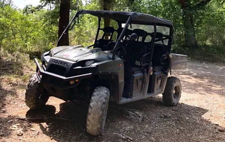 Chianti Wild Safari Adventure through Tuscan Vineyards