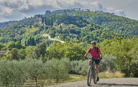 Florence Countryside PRIVATE E-Bike Tour with Wine Tasting