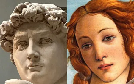 David and Venus guided experience