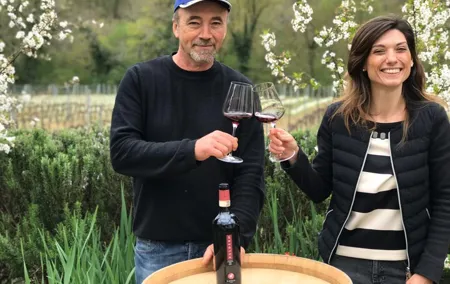 Wine Tasting by CarusVini in San Casciano in val di Pesa