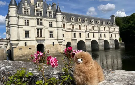 Small Group 3 Loire Valley Castles & Wine Tasting Guided Tour