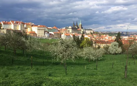 city tour to Prague Castle