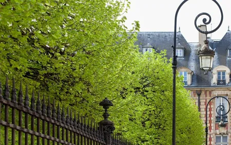 Marais semi private walking tour