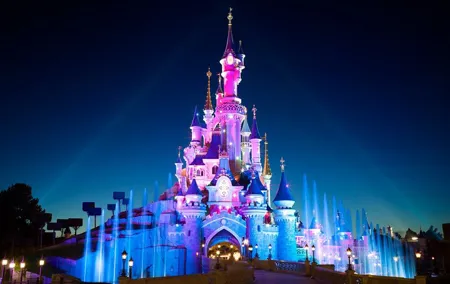 Paris Airport (CDG/ORY) Private Transfer to Disneyland Paris