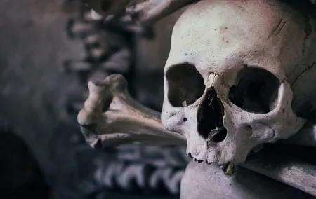 Step Back in Time: Discover Kutna Hora’s Magic with Mytripline
