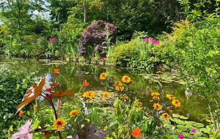 Private Giverny Half-day Trip from Paris by Mercedes Lunch option