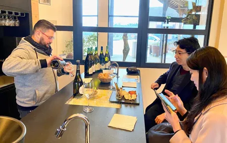 Exquisite Wines Tasting Chateau Pommard, Chablis Small-Group Trip