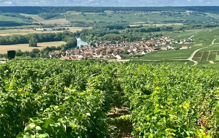 Moet et Chandon Pommery Pressoria Champagne Private trip