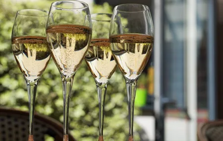 Private Guided Tour in Champagne from Paris with Moet&Chandon visit.