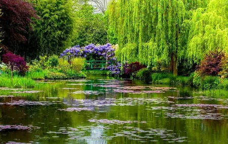 Giverny - Claude Monet's House & Gardens - Private Trip