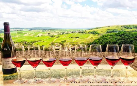 Private wine tour to Sancerre vineyards from Paris with Sommelier