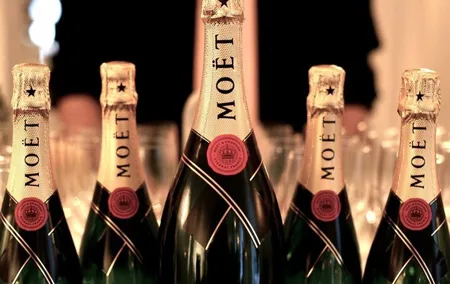 Moet et Chandon Champagne Private Half Day Trip from Paris