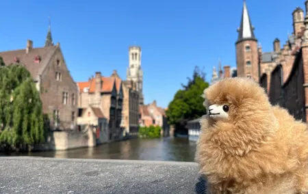 Bruges & Ghent Private tour from Paris with Tastings