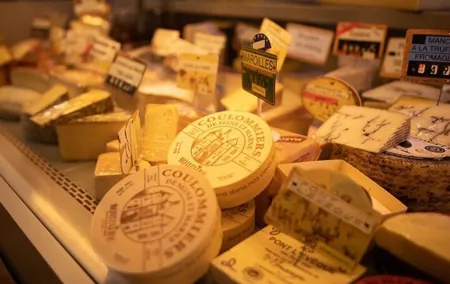 Cool Le Marais: Parisian Food Tour, Small Group or Private Option