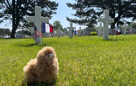 Normandy D-day landing beaches & Caen Memorial Private Tour