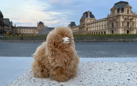 Full Day Private Guided Tour of Paris and Versailles
