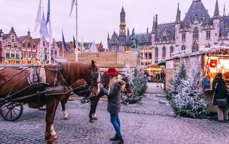 Winter Wonderland Day Trip from Paris to Bruges