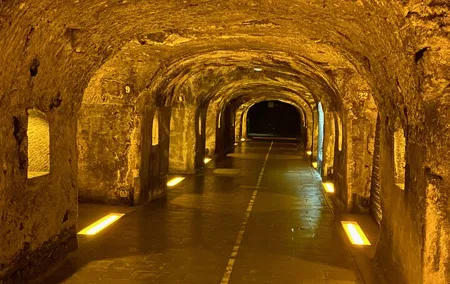 Moet Chandon Champagne Cellars Tastings Private trip from Paris