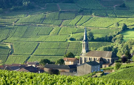 BURGUNDY : Unique Wine Tour from PARIS (Day-trip by TGV - High-speed train)