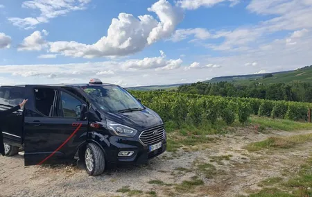 Private Day Trip from Paris to Reims and the Champagne Region