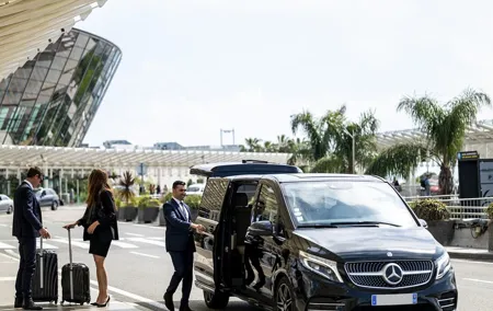 Private Airport Shuttle Transfer CDG or Orly to Paris