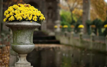 Latin Quarter 2-Hour Private Walking Tour