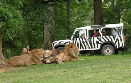 Private Return Transfer Thoiry Zoo Safari from Paris