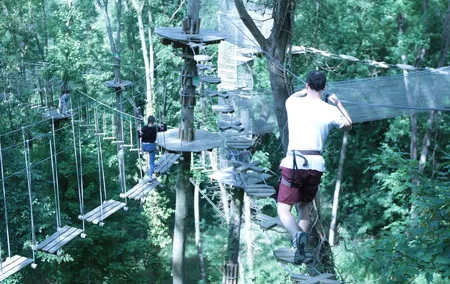 Tree Top Adventure in Rueil-Malmaison