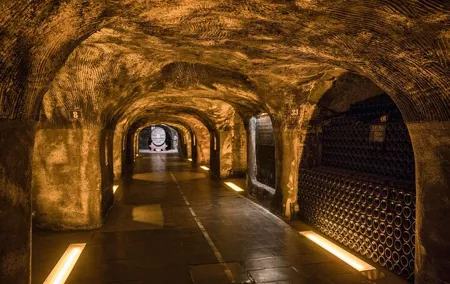 Veuve Clicquot and Reims Cathedral Private Champagne HalfDay Trip