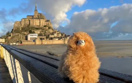 Full-day Private Tour in Mont Saint Michel with Calvados Tasting