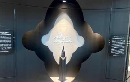 DeLuxe DOM PERIGNON Champagne Tastings Cellars trip from Paris