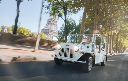 Private 1 - hour Tour: Eiffel Tower,Champs-Elysées Arc DE Triomphe