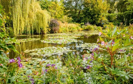 Giverny And Monets Gardens Private Tour from Paris