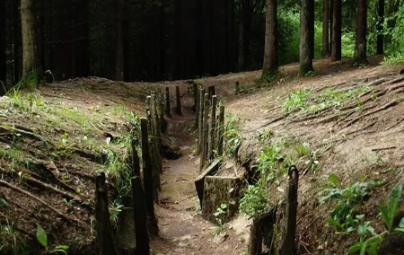 Private tour of the battlefields of Verdun from Paris in Van (2/7 travelers)