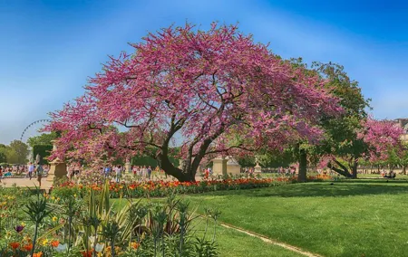 Paris Guided Walking Tour