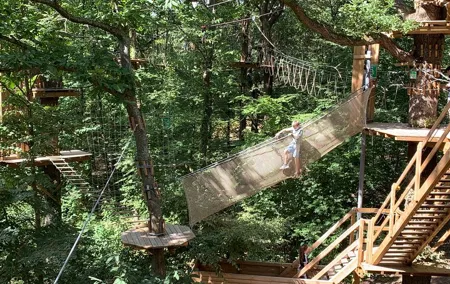 Tree Top Adventure in Forest of Meudon
