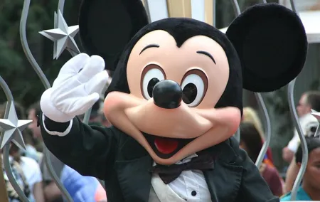 Private transfer from/to CDG, ORLY airports <=> DISNEYLAND