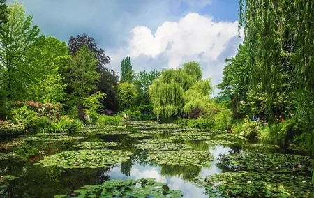 Private day trip from Paris to Giverny with a local driver