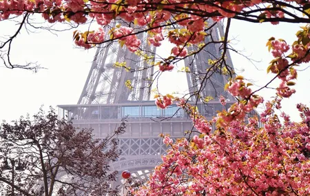 Private Photo Tour in Paris with a Professional Photographer