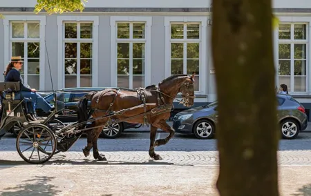 Bruges: romance, paintings and chocolate (private day-trip from Paris)