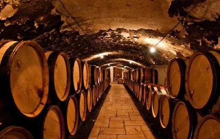 Champagne Region excursion from Paris with Private Driver